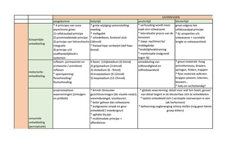 schema dat de verschillende ontwikkelingsdomeinen van een kind toont