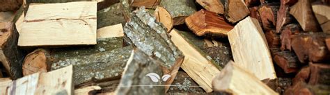 Close-up van FSC-gecertificeerd beukenhout, met focus op de nerfstructuur