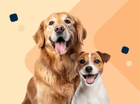 Collage van foto's van honden met zichtbare symptomen van tumoren, zoals bulten, gewichtsverlies en lethargie.