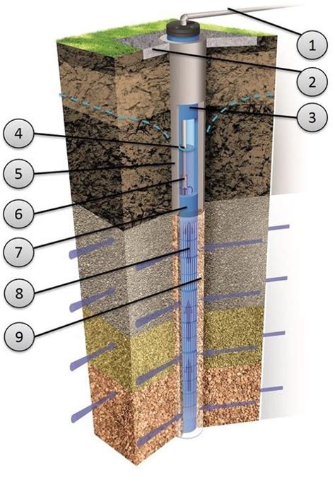 Schematische weergave van een tropische rivier in Sri Lanka met kenmerkende beplanting en bodemstructuur