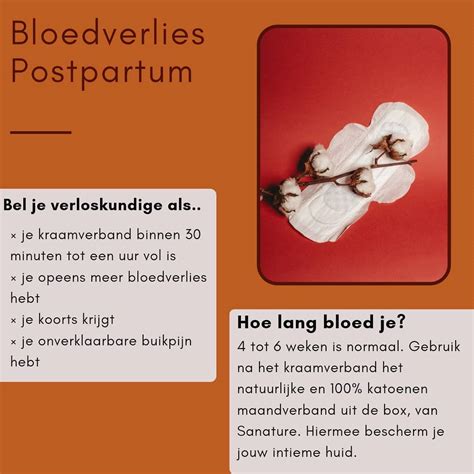 Illustratie van het bloedverlies na de bevalling (lochia) met tijdlijn