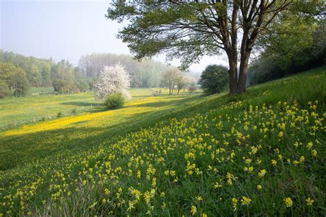 Panoramafoto van het Limburgse landschap vanaf de golfbaan