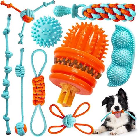Verschillende soorten duurzaam en interactief speelgoed voor beagle puppy's, zoals een KONG, een kauwbal en een puzzelspeeltje.