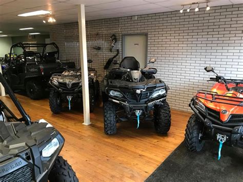 Diverse buggy's en quads van verschillende merken en modellen