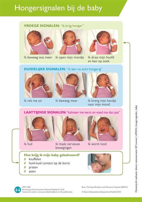 Illustratie van verschillende baby hongersignalen: handjes naar de mond, draaien met het hoofd, sabbelen, huilen.
