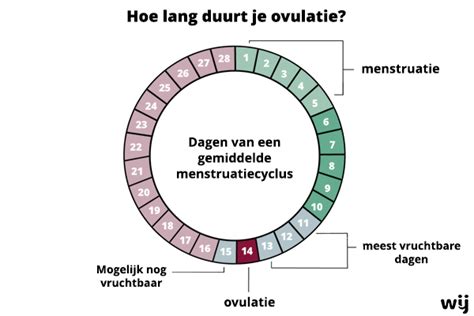 Grafische weergave van een menstruatiecyclus met indicatie van ovulatie.