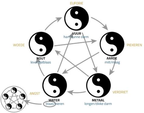 Schematische weergave van de Chinese Geneeskunde concepten 'yin' en 'yang' in relatie tot lichaamstemperatuur en vruchtbaarheid.