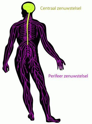 Diagram van het metacentrum en de stabiliteitsarm GZ.