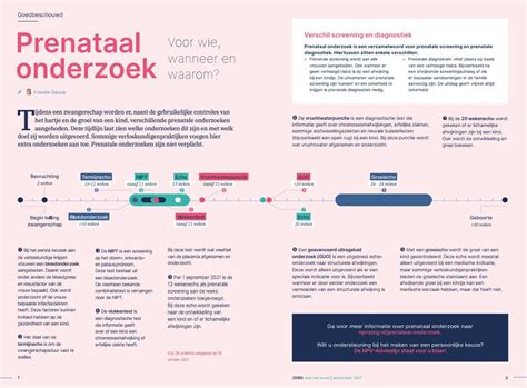 Infographic die de verschillende fasen van prenatale screening toont, inclusief de 13- en 20-wekenecho.