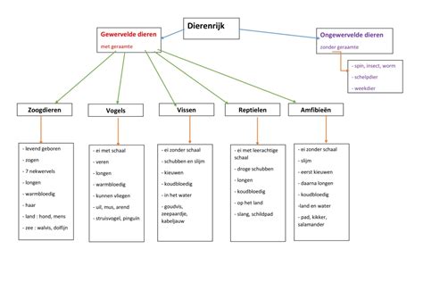 Schema van de verschillende hulpverleningsopties binnen het CJG
