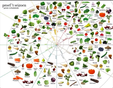 Verschillende soorten groenten en fruit, klaar om te eten.