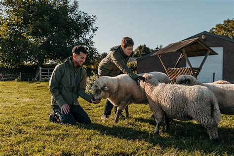 Een reeks illustraties die het verzorgen van boerderijdieren tonen: doornen verwijderen, wonden behandelen, dieren wassen en drogen.