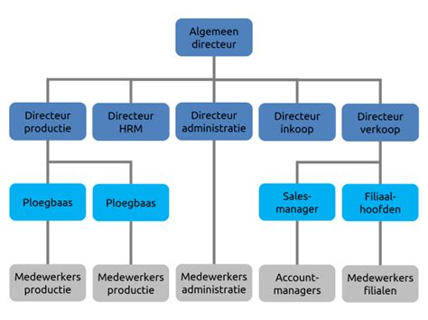 Grafische weergave van de organisatiestructuur van MTV/MTNL door de jaren heen, met vermelding van de splitsing in 2001 en de verschuiving naar thematische programmering in 2005.
