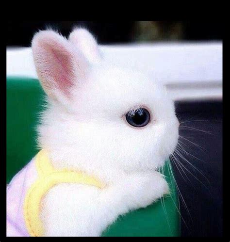 Illustratie van een baby die zachtjes wordt gewassen met alleen water