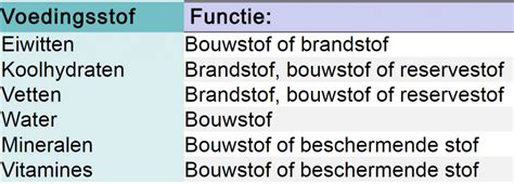 Schema met de verschillende energiemarkten en hun functies