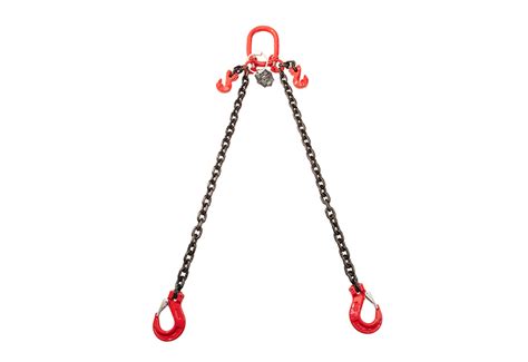 Illustratie van een tweesprong in een bos, symboliserend de keuze van abortus