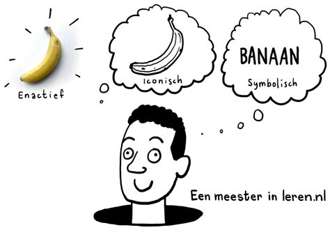 Visuele representatie van de afname van eicelkwaliteit met toenemende leeftijd