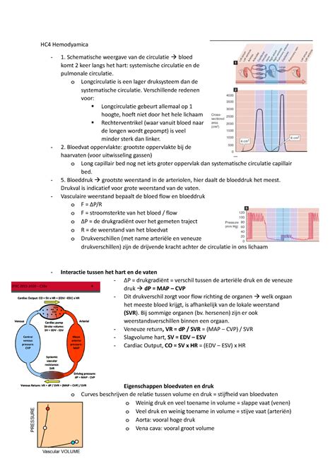 Schematische weergave van de huidbarrière en de rol van huideigen ingrediënten bij het vasthouden van vocht.