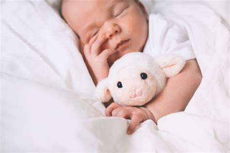 Baby die rustig slaapt in een wieg, met een hond die zachtjes op de achtergrond waakt