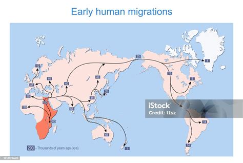 Een kaart die de vroege menselijke migraties over de wereld toont, gebaseerd op mitochondriale populatiegenetica.
