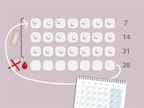 Schema met de dagelijkse inname van de pil en de stopweek