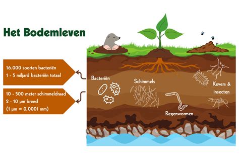 Diagram dat de vergrendelingsfunctie van de bodem van het campingbedje illustreert