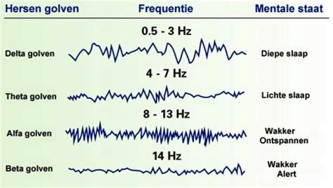 Grafische weergave van de hersengolven van een baby en ouder tijdens huid-op-huid contact, met pijlen die de aanmaak van oxytocine symboliseren.