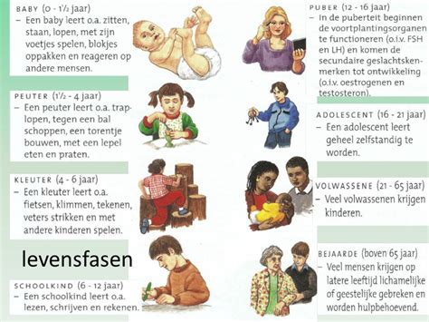 Infographic met de ontwikkeling van borstvoedingsfrequentie, duur en melkopname per leeftijdsfase.