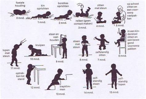 tijdlijn van de motorische ontwikkeling van een baby, met mijlpalen zoals rollen, zitten en kruipen