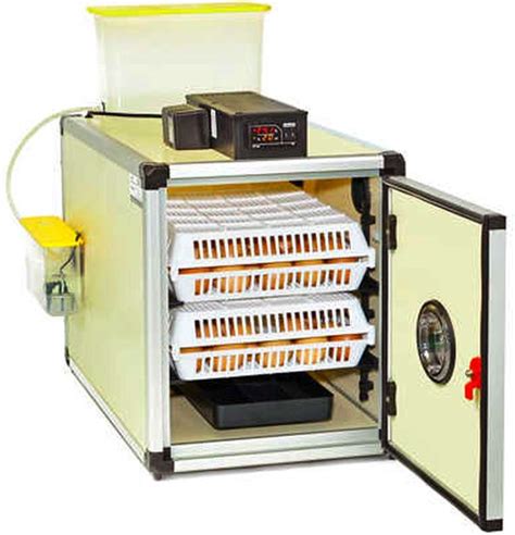 overzicht van een moderne broedmachine met kwartel eieren