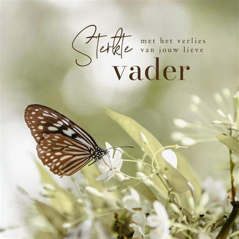 Afbeelding van een vader die troost biedt aan zijn partner.