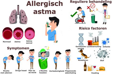Infographic die de symptomen, oorzaken en behandelopties van allergische rhinitis samenvat.