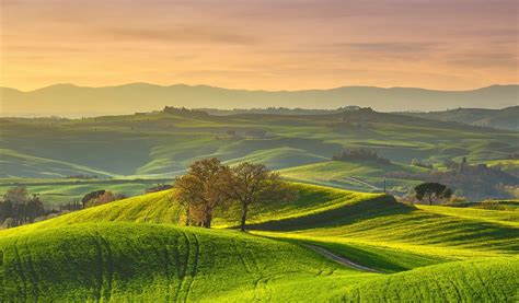 Landschap van het Alta Murgia National Park met glooiende heuvels en typische steenformaties.