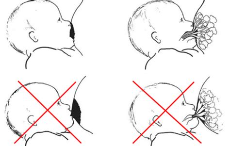 illustratie van de juiste aanlegtechniek bij borstvoeding, met focus op de positie van de tepel en de mond van de baby