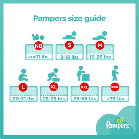 Illustratie die de verschillende Pampers maten toont met bijbehorende gewichtsindicaties.