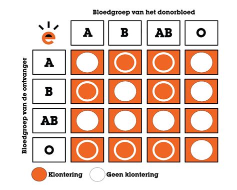 Schema dat de overgang van medicijnen van het bloed naar de moedermelk illustreert