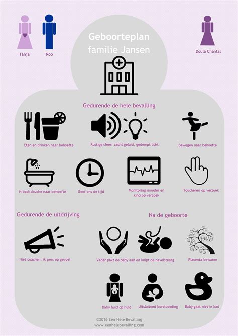 Infographic met verschillende onderdelen van een geboorteplan, zoals locatie, pijnbestrijding, en postnatale zorg.