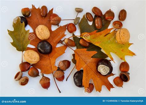 Collage van verschillende knutselwerken met natuurlijke herfstmaterialen zoals kastanjes, eikels en bladeren