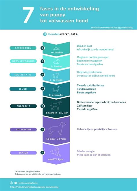 Infographic die de verschillende fasen van de neonatale follow-up weergeeft.
