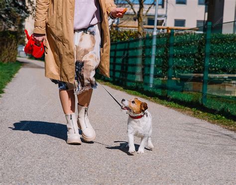 Een hond die blij een speeltje aan zijn baasje aanbiedt, met kwispelende staart en vrolijke uitdrukking.