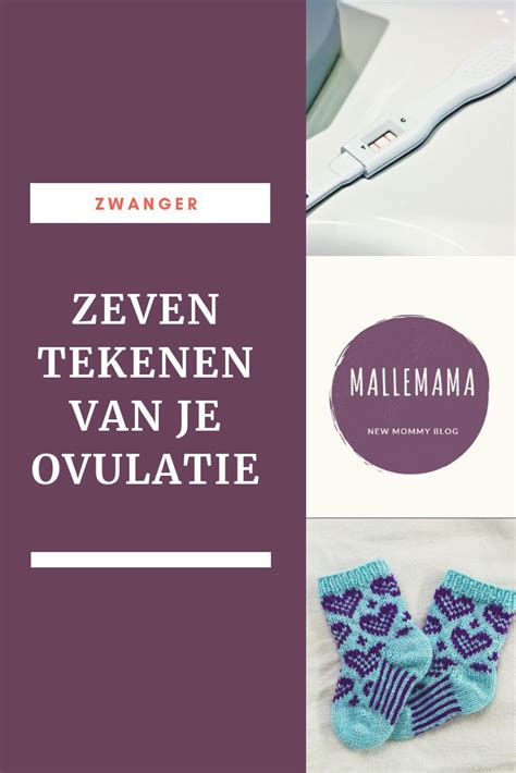 infographic met de verschillende tekenen van ovulatie