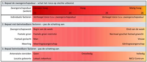 Schema van de risico-inschatting bij extreme vroeggeboorte, inclusief zwangerschapsduur, geboortegewicht, geslacht, meerlingzwangerschap, antenatale steroïden en locatie van geboorte.