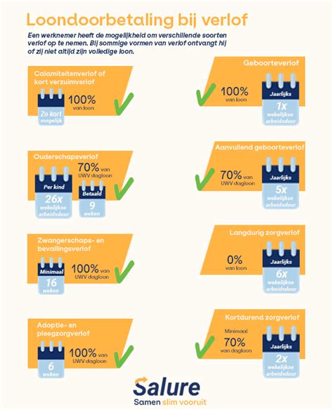 Infographic met de verschillende soorten verlof en regelingen onder Richtlijn (EU) 2019/1158