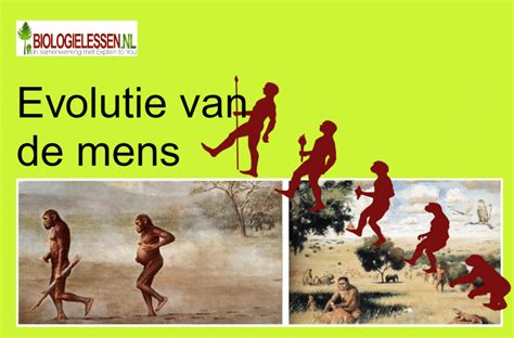 Schematische weergave van de evolutie van Volvo kinderzitjes door de jaren heen.