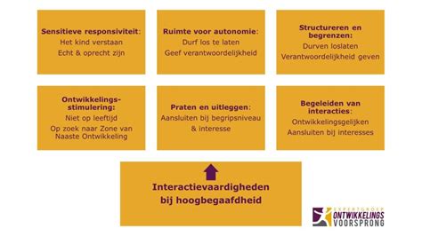 Schema met de zes interactievaardigheden.