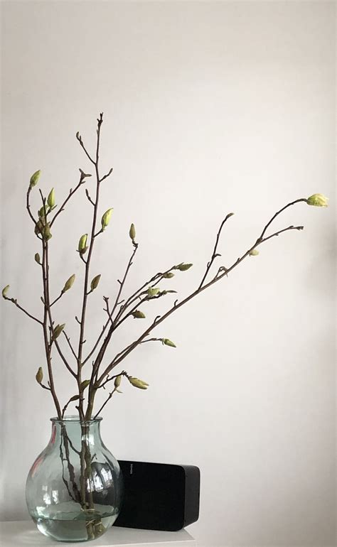 Een gedroogde, vertakte tak geplaatst in een vaas, versierd met geboortekaartjes die door de takjes geregen zijn