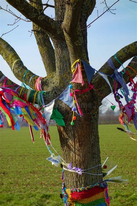 Een tak versierd met linten waaraan verschillende kleine kaders met geboortekaartjes hangen