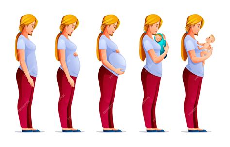 overzicht van de belangrijkste fysieke veranderingen tijdens de zwangerschap