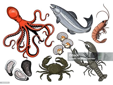 Illustratie van verschillende soorten schaal- en schelpdieren, met een rode markering op garnalen, krab en kreeft.