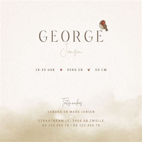 Voorbeeld van een geboortekaartje met vogel en foliedruk